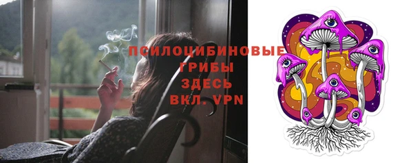 ECSTASY Михайловск
