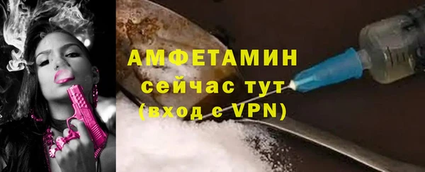 ГАЛЛЮЦИНОГЕННЫЕ ГРИБЫ Михайлов