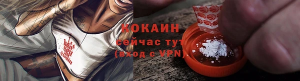 ГАЛЛЮЦИНОГЕННЫЕ ГРИБЫ Михайлов
