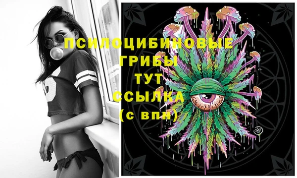 apvp Михайловка