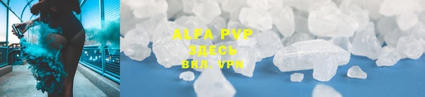 ГАЛЛЮЦИНОГЕННЫЕ ГРИБЫ Михайлов