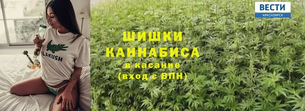 ГАЛЛЮЦИНОГЕННЫЕ ГРИБЫ Михайлов
