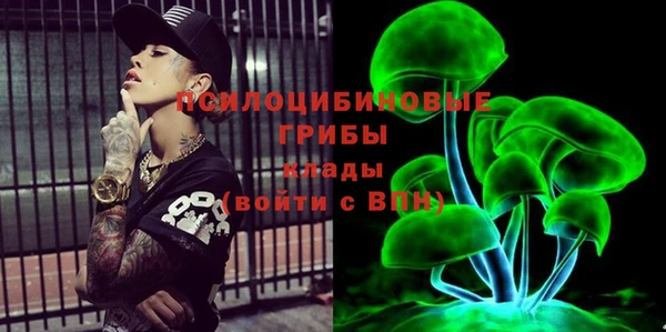 ECSTASY Михайловск