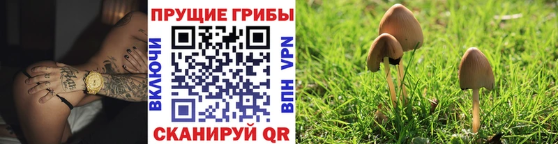 Псилоцибиновые грибы MAGIC MUSHROOMS  продажа наркотиков  Альметьевск 