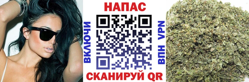 Бошки марихуана THC 21%  это как зайти  Альметьевск  где можно купить  